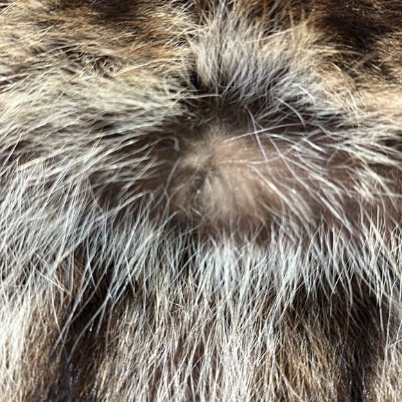 Vintage 100% real Raccoon fur 3/4 coat!  Excellent condition! - Picture 11 of 16